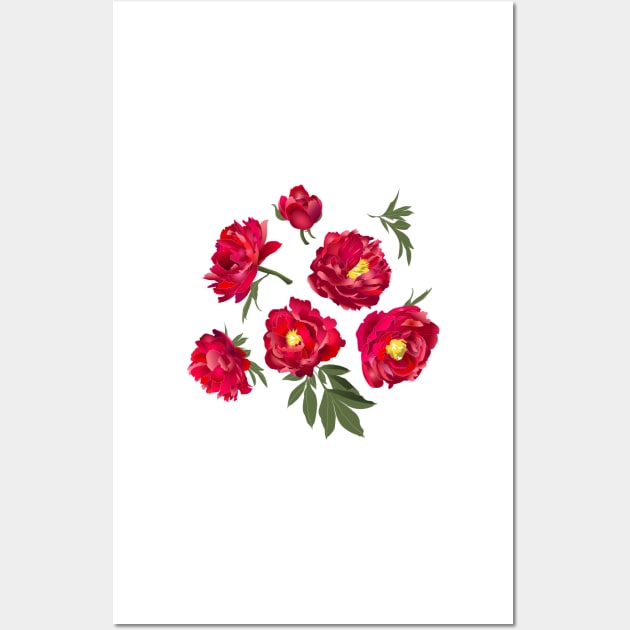 red peony on white Wall Art by kobyakov